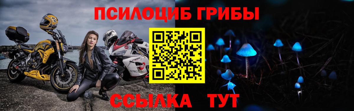 Галлюциногенные грибы Cubensis  Вход с VPN  Апатиты 