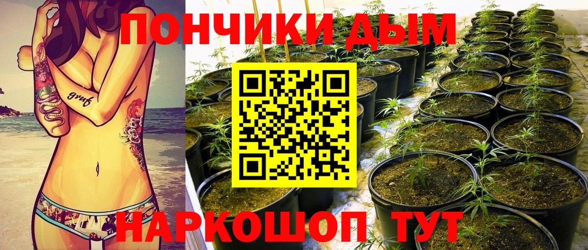 МАРИХУАНА Bruce Banner Апатиты